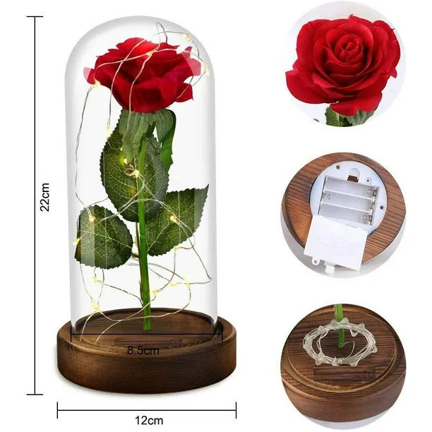 🌹 Rosa Eterna Luminosa  de la Bella y la Bestia 🌹